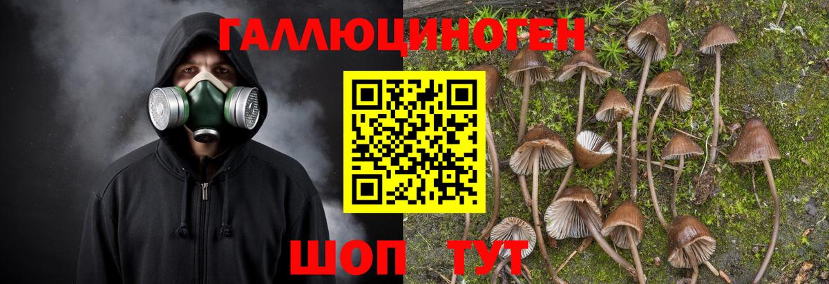 где купить наркоту  Псилоцибиновые грибы Magic Shrooms  Вход с VPN  Анжеро-Судженск 
