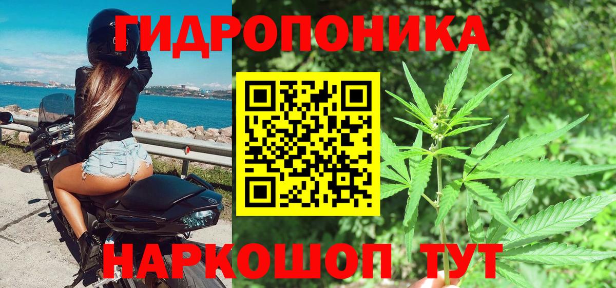 Анжеро-Судженск  Каннабис White Widow  Вход с VPN  Каннабис индика 